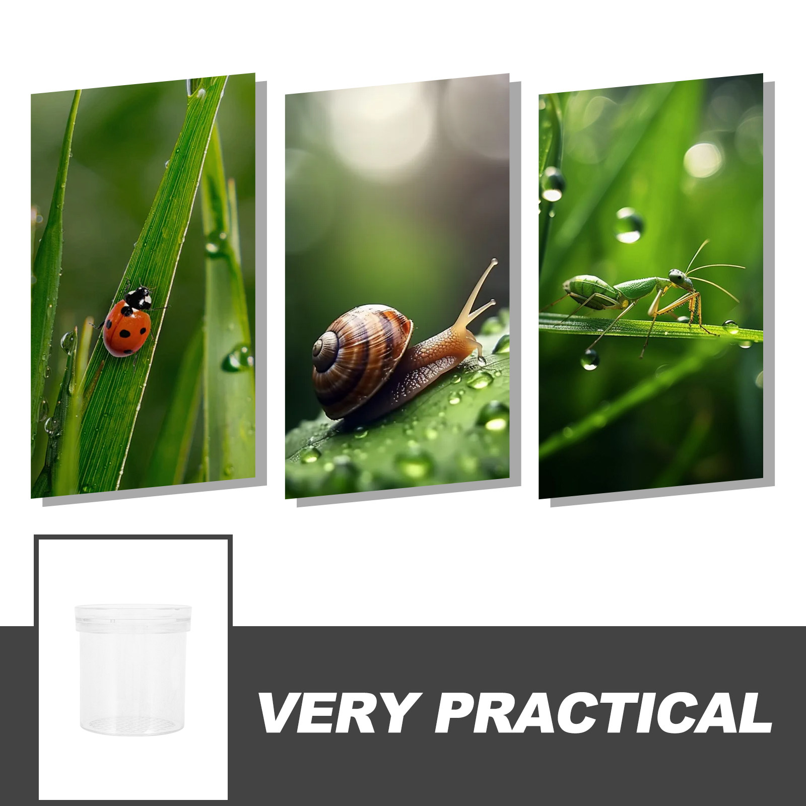 3X Magnifying Insect Observati - огляд і ціна Kids Outdoor Education